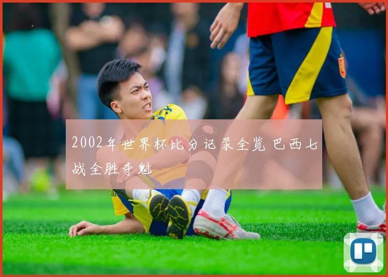 2002年世界杯比分记录全览 巴西七战全胜夺魁
