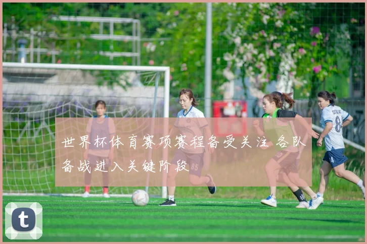 世界杯体育赛项赛程备受关注 各队备战进入关键阶段