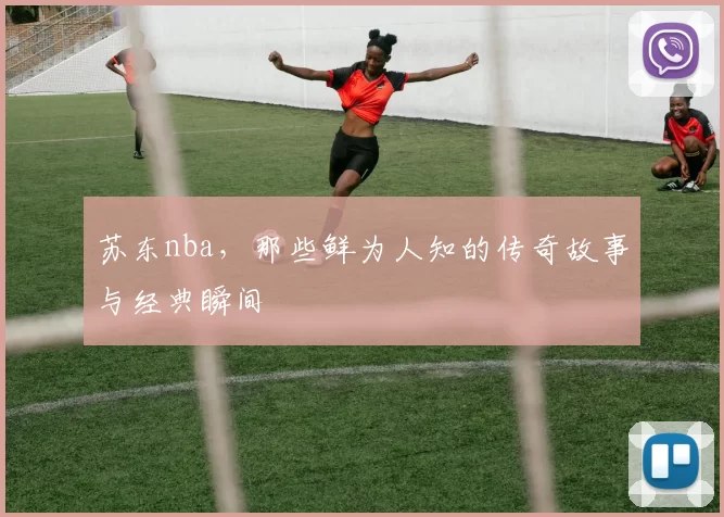 苏东nba，那些鲜为人知的传奇故事与经典瞬间