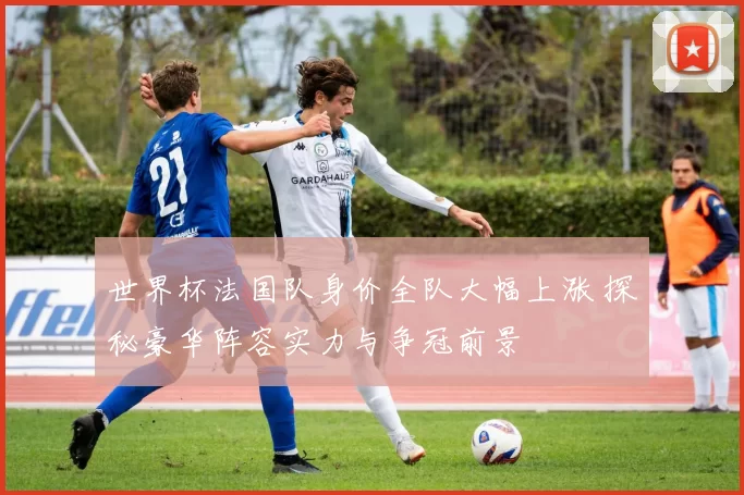 世界杯法国队身价全队大幅上涨 探秘豪华阵容实力与争冠前景