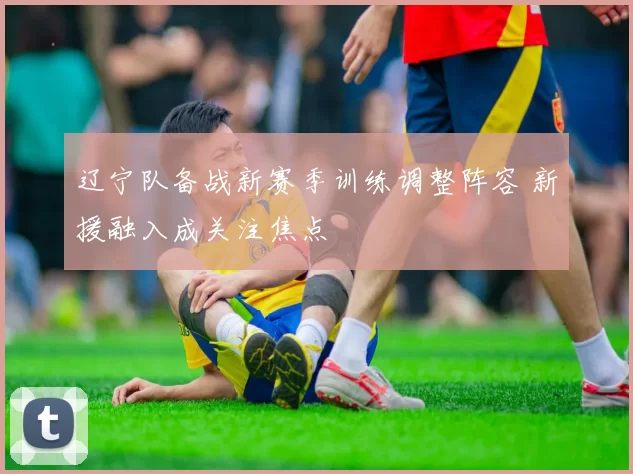 辽宁队备战新赛季训练调整阵容 新援融入成关注焦点