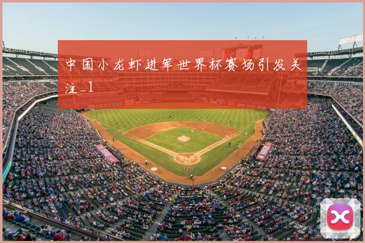 中国小龙虾进军世界杯赛场引发关注_1