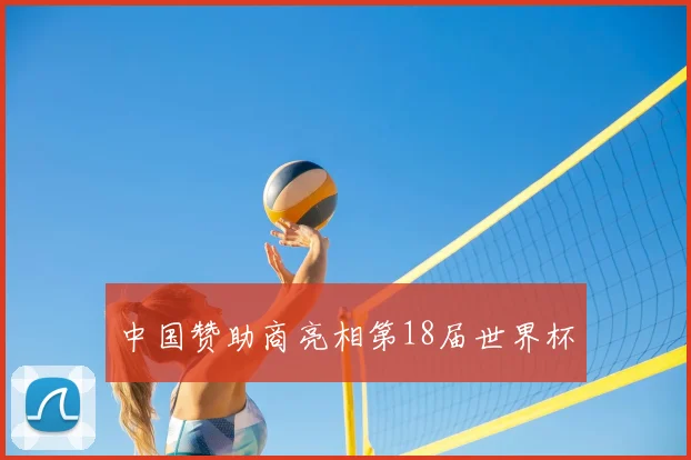 中国赞助商亮相第18届世界杯