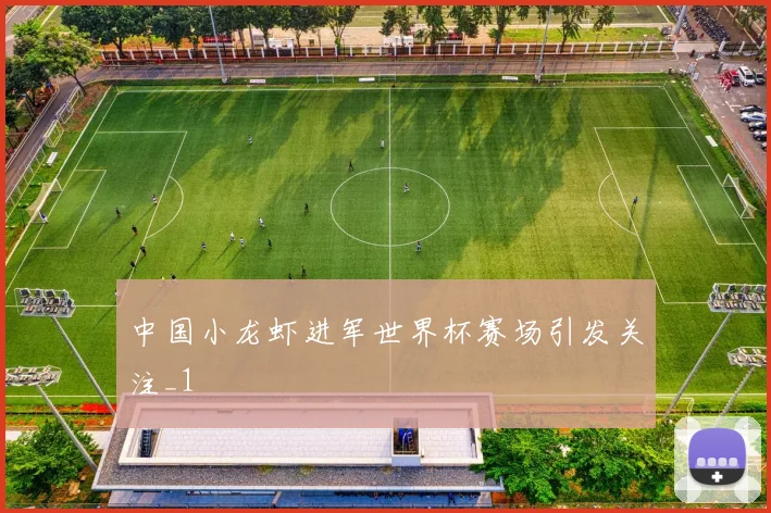 中国小龙虾进军世界杯赛场引发关注_1