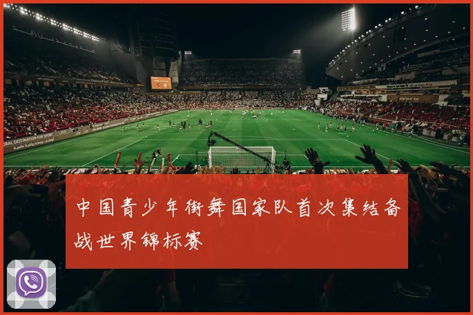 中国青少年街舞国家队首次集结备战世界锦标赛